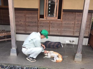 看板犬170911-02