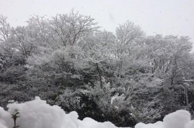 雪180123