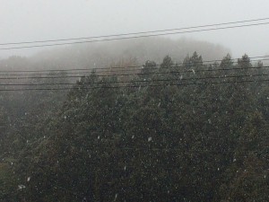 雪180321