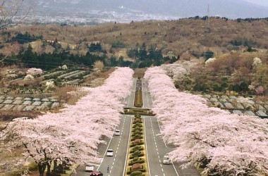 富士霊園180405-01