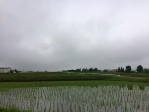 富士山1805824