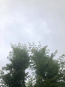 雨180627