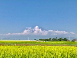 富士山180803