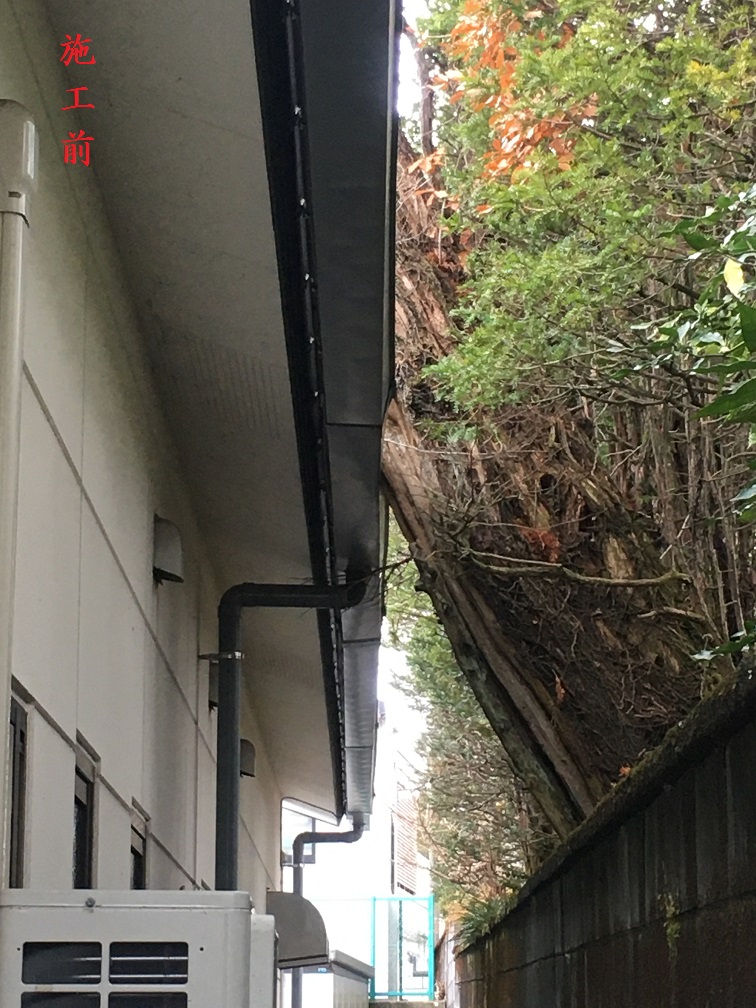 雨樋(施工前)